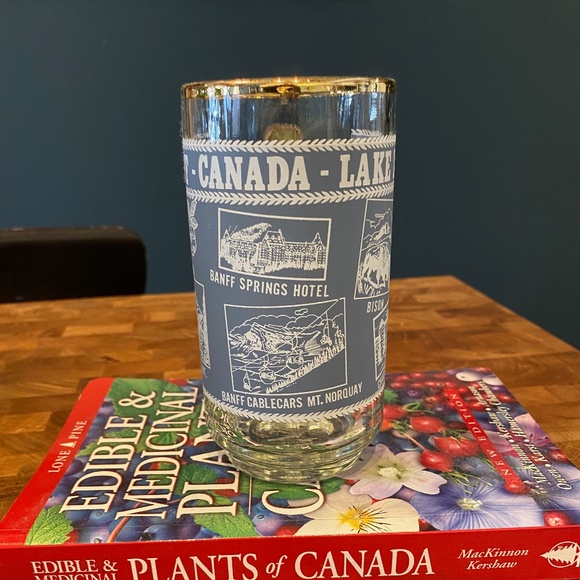 Vintage Banff & Lake Louise Souvenir Mug - Picture 3 of 4